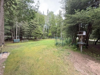 Waterfront home with a sandy beach on the shores of Lake Huron - photo 44