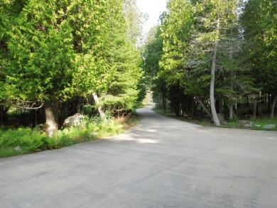 Waterfront home with a sandy beach on the shores of Lake Huron - photo 45