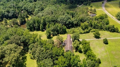 Welcome to 14774 Bel Aire Estate in Coker, Alabama, where you'll - photo 45