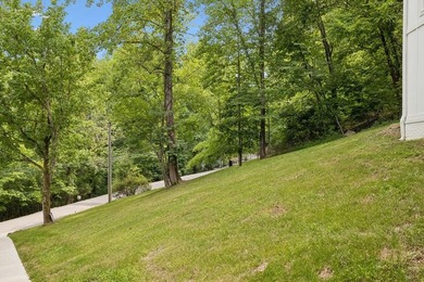 Nestled among mature trees in a desirable Center Hill Lake gated - photo 47