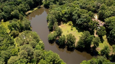 Welcome to 14774 Bel Aire Estate in Coker, Alabama, where you'll - photo 48
