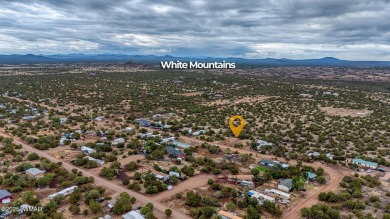 Lake Lot For Sale in Show Low, Arizona
