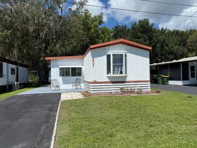 Lake Home For Sale in Leesburg, Florida