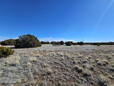 Lake Lot For Sale in Show Low, Arizona