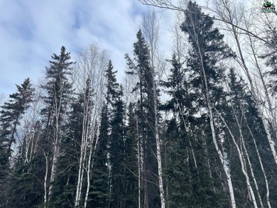 Salcha River Acreage Sale Pending in Fairbanks Alaska