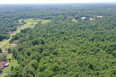 165+- acres fronting on Bethel Road located approximately 1 mile - photo 11