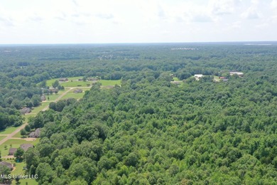 165+- acres fronting on Bethel Road located approximately 1 mile - photo 12