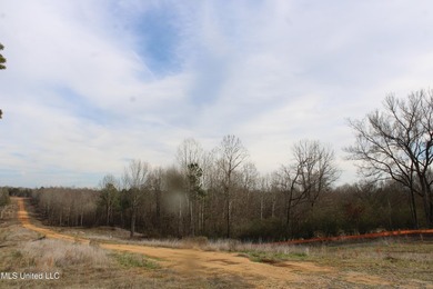 165+- acres fronting on Bethel Road located approximately 1 mile - photo 17