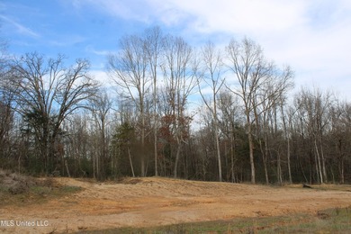 165+- acres fronting on Bethel Road located approximately 1 mile - photo 18