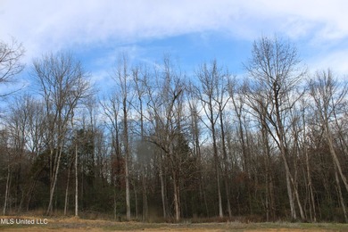 165+- acres fronting on Bethel Road located approximately 1 mile - photo 19