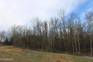 165+- acres fronting on Bethel Road located approximately 1 mile - photo 20