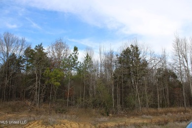 165+- acres fronting on Bethel Road located approximately 1 mile - photo 21
