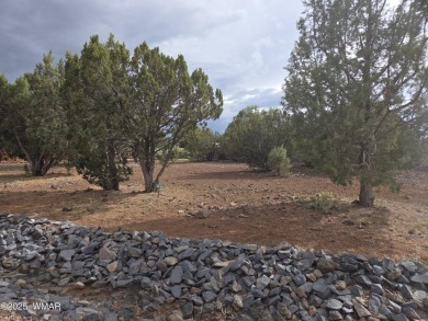 Lake Lot For Sale in Show Low, Arizona