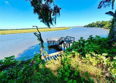 Very Rare High Bluff Deep Water Property for Sale. Cleared and - photo 2