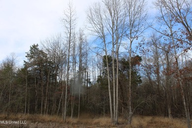 165+- acres fronting on Bethel Road located approximately 1 mile - photo 22