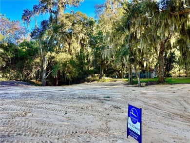 Very Rare High Bluff Deep Water Property for Sale. Cleared and - photo 3