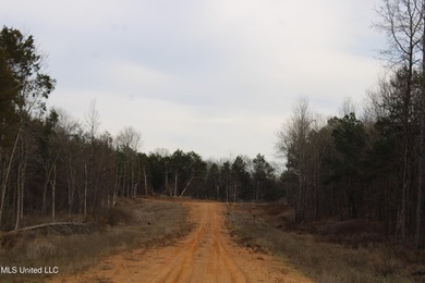 165+- acres fronting on Bethel Road located approximately 1 mile - photo 23