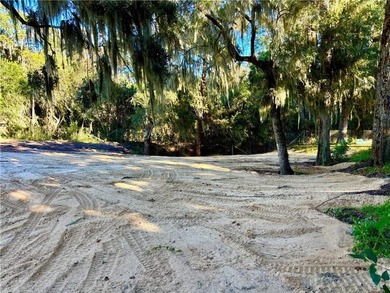 Very Rare High Bluff Deep Water Property for Sale. Cleared and - photo 4