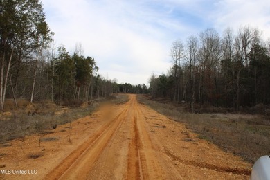 165+- acres fronting on Bethel Road located approximately 1 mile - photo 24