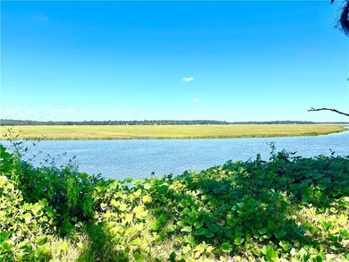 Very Rare High Bluff Deep Water Property for Sale. Cleared and - photo 5