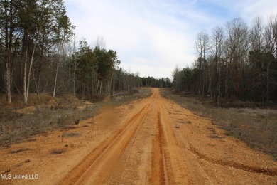 165+- acres fronting on Bethel Road located approximately 1 mile - photo 25