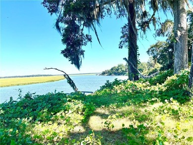Very Rare High Bluff Deep Water Property for Sale. Cleared and - photo 6