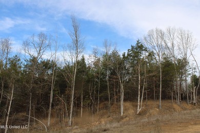 165+- acres fronting on Bethel Road located approximately 1 mile - photo 26