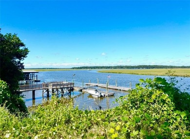 Very Rare High Bluff Deep Water Property for Sale. Cleared and - photo 7