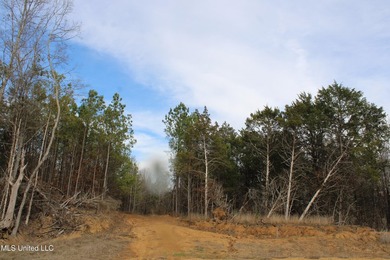 165+- acres fronting on Bethel Road located approximately 1 mile - photo 27