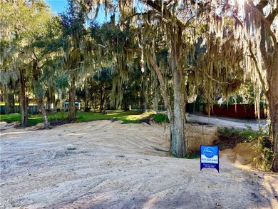 Very Rare High Bluff Deep Water Property for Sale. Cleared and - photo 8