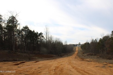 165+- acres fronting on Bethel Road located approximately 1 mile - photo 28