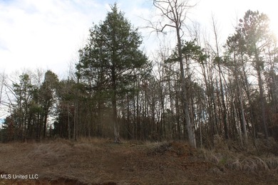 165+- acres fronting on Bethel Road located approximately 1 mile - photo 29