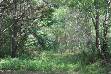 165+- acres fronting on Bethel Road located approximately 1 mile - photo 30