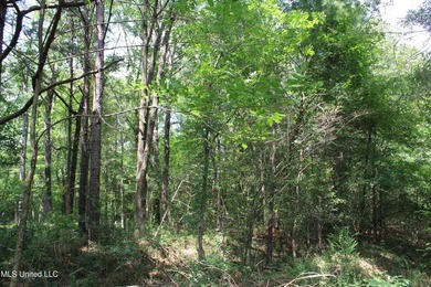 165+- acres fronting on Bethel Road located approximately 1 mile - photo 31