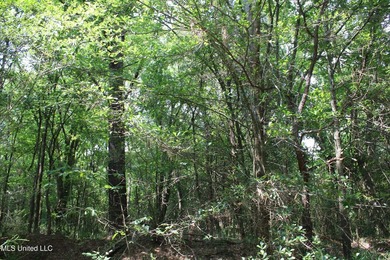 165+- acres fronting on Bethel Road located approximately 1 mile - photo 32