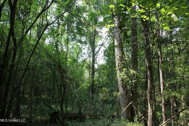 165+- acres fronting on Bethel Road located approximately 1 mile - photo 34