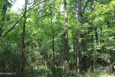 165+- acres fronting on Bethel Road located approximately 1 mile - photo 35