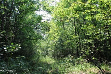165+- acres fronting on Bethel Road located approximately 1 mile - photo 36