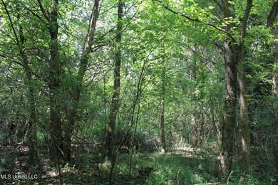 165+- acres fronting on Bethel Road located approximately 1 mile - photo 37