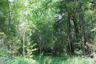 165+- acres fronting on Bethel Road located approximately 1 mile - photo 38