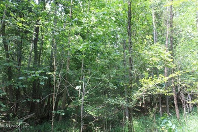 165+- acres fronting on Bethel Road located approximately 1 mile - photo 39