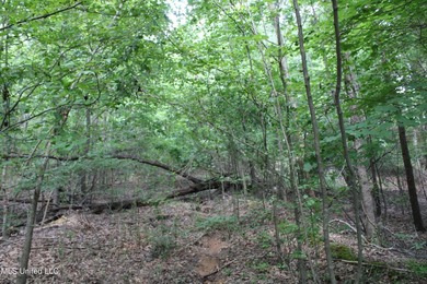 165+- acres fronting on Bethel Road located approximately 1 mile - photo 40