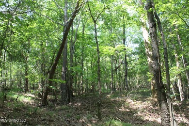 165+- acres fronting on Bethel Road located approximately 1 mile - photo 41