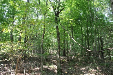 165+- acres fronting on Bethel Road located approximately 1 mile - photo 42