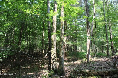 165+- acres fronting on Bethel Road located approximately 1 mile - photo 43