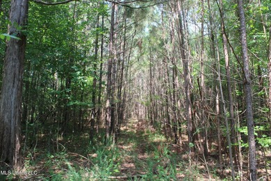 165+- acres fronting on Bethel Road located approximately 1 mile - photo 44