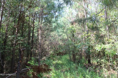 165+- acres fronting on Bethel Road located approximately 1 mile - photo 45