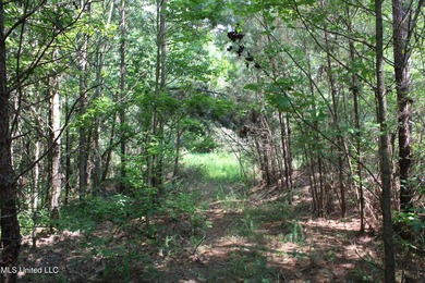 165+- acres fronting on Bethel Road located approximately 1 mile - photo 46