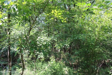 165+- acres fronting on Bethel Road located approximately 1 mile - photo 47