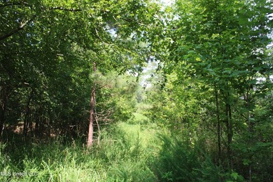 165+- acres fronting on Bethel Road located approximately 1 mile - photo 48